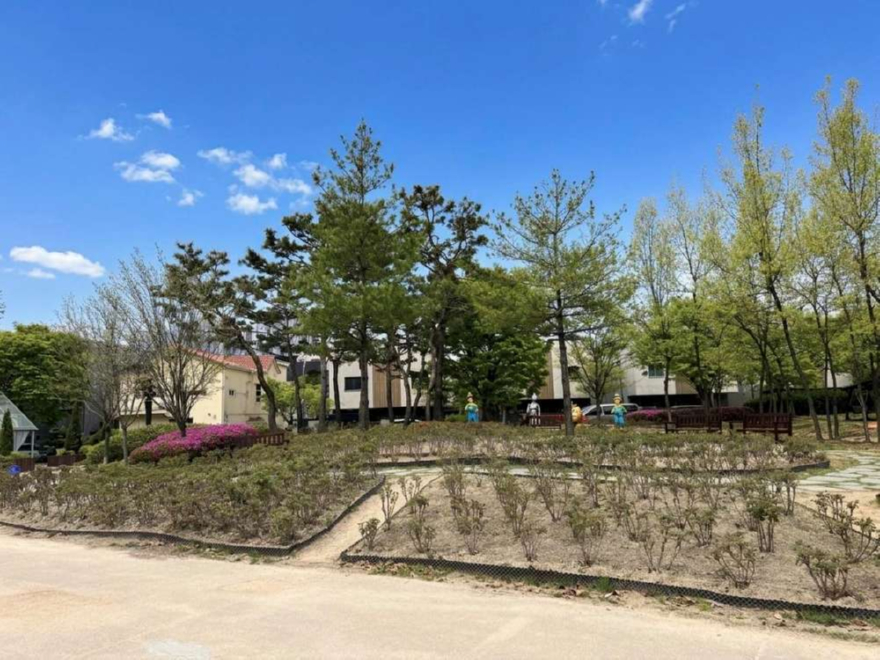 4.오산시, 고인돌공원에 ‘오산-허쩌 우정의 모란정원’ 조성…개화 앞두고 관람 준비 완료.jpg