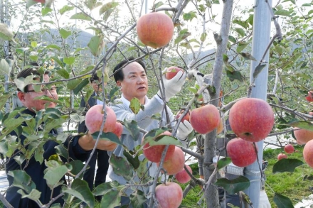 오산시, 자매도시 장수군서 ‘오산시민 장수 사과따기 체험행사’ 성황리 개최