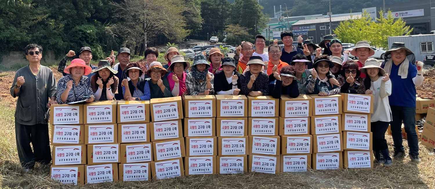 오산시 남촌동 통장협의회,“사랑 愛 고구마 수확”